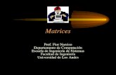 Matrices Prof. Flor Narciso Departamento de Computación Escuela de Ingeniería de Sistemas Facultad de Ingeniería Universidad de Los Andes.