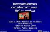 Herramientas colaborativas: Multimedia Curso CFIE Medina de Rioseco (Valladolid) Febrero-Marzo 2007 Daniel Primo Gorgoso  Foto original.