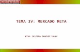 1 TEMA IV: MERCADO META MTRA. DELFINA SÁNCHEZ VALLE.