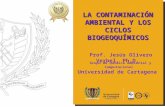 LA CONTAMINACIÓN AMBIENTAL Y LOS CICLOS BIOGEOQUÍMICOS Prof. Jesús Olivero Verbel. Ph.D. Grupo de Química Ambiental y Computacional Universidad de Cartagena.