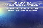 RED TEMÁTICA “FORMACIÓN EN GESTIÓN” “HERRAMIENTAS PARA LA GESTIÓN, MEJORA Y CONTROL DE CALIDAD” “HERRAMIENTAS PARA LA GESTIÓN, MEJORA Y CONTROL DE CALIDAD”