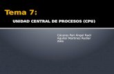 UNIDAD CENTRAL DE PROCESOS (CPU) Cáceres Pari Ángel Raúl Aguilar Martinez Rudiar Zela.