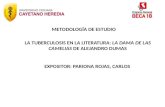 METODOLOGÍA DE ESTUDIO LA TUBERCULOSIS EN LA LITERATURA: LA DAMA DE LAS CAMELIAS DE ALEJANDRO DUMAS EXPOSITOR: PARIONA ROJAS, CARLOS.