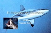 El matador de tiburones 1640 Puerto Rico. El matador de tiburones Ardía la Aguada en fiesta. Frente a la hermosa bahía estaban anclados los galeones que.