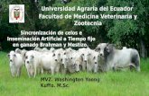 Universidad Agraria del Ecuador Facultad de Medicina Veterinaria y Zootecnia MVZ. Washington Yoong Kuffo. M.Sc. Sincronización de celos e Inseminación.