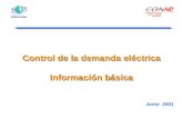 Control de la demanda eléctrica Información básica Junio 2001.