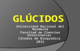 Universidad Nacional del Nordeste Facultad de Ciencias Veterinarias Cátedra de Bioquímica 2015.