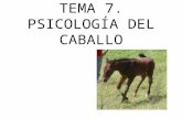 TEMA 7. PSICOLOGÍA DEL CABALLO.  Es muy importante conocer la psicología del caballo, no sólo para comprender mejor su comportamiento, sino también para.
