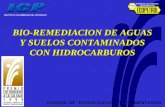 BIO-REMEDIACION DE AGUAS Y SUELOS CONTAMINADOS CON HIDROCARBUROS EMPRESA COLOMBIANA DE PETROLEOS DIVISIÓN DE TECNOLOGÍAS COMPLEMENTARIAS.