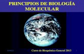 119/07/2015 PRINCIPIOS DE BIOLOGÍA MOLECULAR Curso de Bioquímica General 2015.