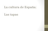 La cultura de España: Las tapas. Segovia, España