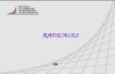 RADICALES. RADICALES La radicación es la operación inversa a la potenciación: POTENCIACIÓN RADICACIÓN Entonces Índice de la Raíz Radical Potencia Exponente.