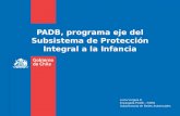 PADB, programa eje del Subsistema de Protección Integral a la Infancia Lucía Vergara D. Encargada PADB – PARN Subsecretaría de Redes Asistenciales.