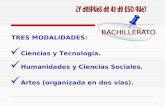 TRES MODALIDADES: Ciencias y Tecnología. Humanidades y Ciencias Sociales. Artes (organizada en dos vías).