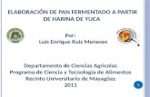 ELABORACIÓN DE PAN FERMENTADO A PARTIR DE HARINA DE YUCA Por: Luis Enrique Ruiz Meneses 1 Departamento de Ciencias Agricolas Programa de Ciencia y Tecnología.