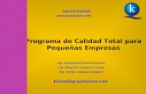 1 Programa de Calidad Total para Pequeñas Empresas GRUPO KAIZEN  Ing. Alejandro Ramírez García Ing. Mauricio Campos Crosby Ing. Sergio.