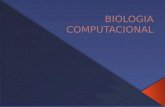 BIOLOGIA COMPUTACIONAL BIOLOGIA GENETICA CLONACION PROYECTOS MODELO DE GEN SECUENCIA ADN CONCEPTO.