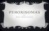 PEROXISOMAS Mónica Chavarro Camacho. LOS PEROXISOMAS son orgánulos citoplasmáticos que contienen enzimas que catalizan la producción y descomposición.