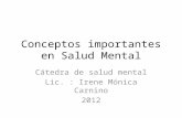 Conceptos importantes en Salud Mental Cátedra de salud mental Lic. : Irene Mónica Carnino 2012.