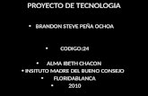 PROYECTO DE TECNOLOGIA BRANDON STEVE PEÑA OCHOA CODIGO:24 ALMA IBETH CHACON INSITUTO MADRE DEL BUENO CONSEJO FLORIDABLANCA 2010.