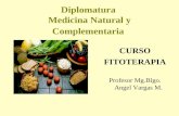 Diplomatura Medicina Natural y Complementaria CURSO FITOTERAPIA Profesor Mg.Blgo. Angel Vargas M.