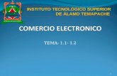 TEMA: 1.1- 1.2 1 INSTITUTO TECNOLÓGICO SUPERIOR DE ÁLAMO TEMAPACHE.