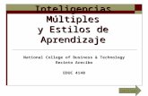 Inteligencias Múltiples y Estilos de Aprendizaje National College of Business & Technology Recinto Arecibo EDUC 4140 Continuar.