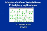 Modelos Gráficos Probabilistas: Principios y Aplicaciones L. Enrique Sucar INAOE.