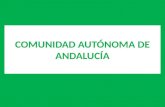 COMUNIDAD AUTÓNOMA DE ANDALUCÍA Andalucía se constituyó en comunidad autónoma en 1.981, mediante la aprobación de su ESTATUTO DE AUTONOMÍA, que es la.