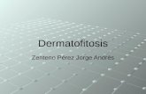 Dermatofitosis Zenteno Pérez Jorge Andrés. Generalidades Infección usualmente muy contagiosa Superficial Producida por hongos (dermatofitos). Tiñas o.