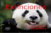 Extinciones PABLO M.PEREZ & ANDREA ORTIZ. ¿Qué entendemos por extinción? Extinción es la desaparición de todos los miembros de una especie Se considera.