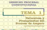 © Jose Luis Silvestre 2009 TEMA 1 Naturaleza y Presupuestos del Proceso de Amparo yoseluisilvestre@hotmail.com DERECHO PROCESAL CONSTITUCIONAL 1.