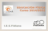 EDUCACIÓN FÍSICA Curso 2014/2015 I.E.S.Fidiana Departamento de Educación Física.
