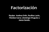 Factorización Equipo Andres Ortiz,Paulina Lavin, Montse Carus,Domingo Muguira y Janos Sando.