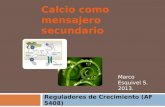 Marco Esquivel S. 2013..  Ca regula fenómenos de crecimiento y desarrollo en las plantas.  Ca:  Señalización de hormonas.  Crecimiento del tubo polínico.