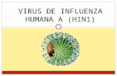VIRUS DE INFLUENZA HUMANA A (H1N1). Entre los “microbios” patógenos para el hombre (es decir los que pueden producir enfermedades humanas) hay INTRODUCCIÓN.