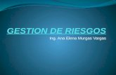 Ing. Ana Elena Murgas Vargas. OBJETIVOS GENERAL Orientar el diseño de Gestión de Riesgos bajo la NTC 5254:2004 “Gestión de Riesgos”. ESPECIFICOS Brindar.