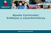 Unidad de Currículum y Evaluación Ajuste Curricular: Enfoque y características.