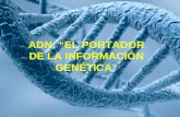 ADN: “EL PORTADOR DE LA INFORMACIÓN GENÉTICA”. WATSON Y CRICK CONSIDERABAN QUE LA SECUENCIA DE BASES DEL ADN ERA UN CÓDIGO QUE PORTABA LA INFORMACIÓN.