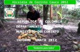 Alcaldía de Corinto Cauca 2012 1. 2 El fomento de la productividad agropecuaria local posibilita el desarrollo económico rural, corresponde a toda la.