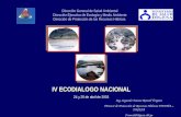 IV ECODIALOGO NACIONAL 24 y 25 de abril de 2002 Ing. Segundo Fausto Roncal Vergara Director de Protección de Recursos Hídricos DEEMA – DIGESA Froncal@digesa.sld.pe.