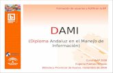 Formación de usuarios y ALFIN en la BP DAMI (Diploma Andaluz en el Manejo de Información) Curso IAAP 2008 Eugenia Puertas Holgado Biblioteca Provincial.