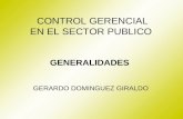 CONTROL GERENCIAL EN EL SECTOR PUBLICO GENERALIDADES GERARDO DOMINGUEZ GIRALDO.