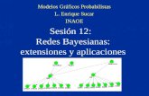 Sesión 12: Redes Bayesianas: extensiones y aplicaciones Modelos Gráficos Probabilistas L. Enrique Sucar INAOE.