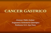 CANCER GASTRICO Alumno: Pablo Andaur Asignatura: Enfermería Quirúrgica Profesora: E.U. Ana Nieto.