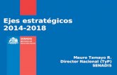 Ejes estratégicos 2014-2018 Mauro Tamayo R. Director Nacional (TyP) SENADIS.