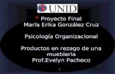 1 * Proyecto Final María Erika González Cruz Psicología Organizacional Productos en rezago de una mueblería Prof.Evelyn Pacheco.