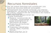 Recursos forestales Son las masas boscosas que constituyen una fuente de recursos bióticos renovables. Últimamente han venido sufriendo una intensa explotación,