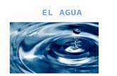 El agua pura es un líquido inodoro e insípido. Tiene un matiz azul, que sólo puede detectarse en capas de gran profundidad.