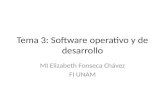 Tema 3: Software operativo y de desarrollo MI Elizabeth Fonseca Chávez FI UNAM.
